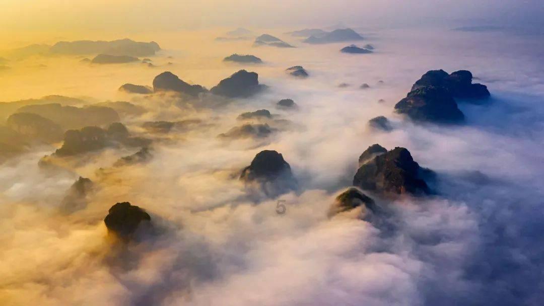 除虫大师